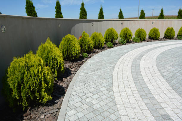 Driveway Repair Near Me in Webster, FL